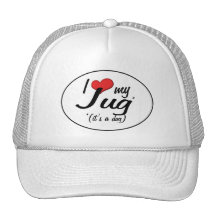 It's a Dog! I Love My Jug Mesh Hats