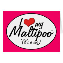 It's a Dog! I Love My Maltipoo Greeting Card