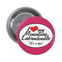 It's a Dog! I Love My Miniature Labradoodle Button