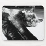 Its a hard life mousepads