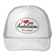 It's a Horse! I Love My Andalusian Hats