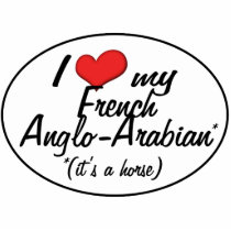 It's a Horse! I Love My French Anglo-Arabian Photo Sculpture