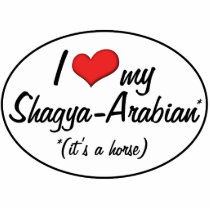 It's a Horse! I Love My Shagya-Arabian Acrylic Cut Out