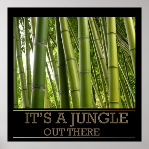 It's a jungle out there Poster