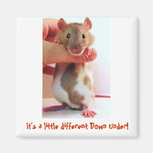 It's a little different Down Under Rattie Fridge Magnet