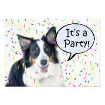 It's a Party! Custom Announcements