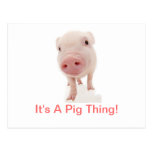 It's A Pig Thing Postcard