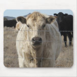 It's a Roundup! Black & White Cow Herd - Charolais mousepads