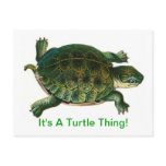 It's A Turtle Thing Post Cards