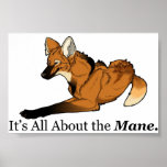 It's All About The Mane - Prints