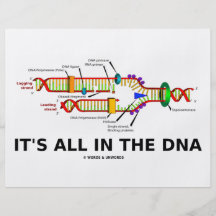 It's All In The DNA Flyers