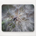 It's All In The Seed mousepads