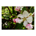 It's AppleBlossom Time Greeting Card