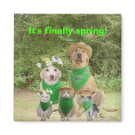 It's finally spring! magnets