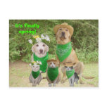 It's finally spring! postcards