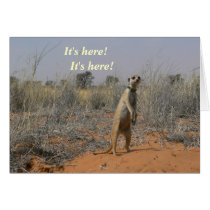 It's Here! - Christmas Card cards
