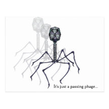 It's just a passing phage... post cards