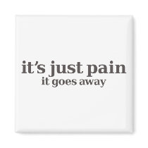 it's just pain magent fridge magnets
