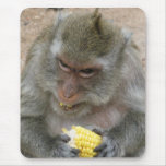 It's Mine ... Thai Monkey Mouse Mats