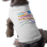 It's My 19th Birthday Gifts pet clothing