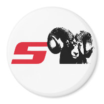 Its Not Pronounced Es-Ram Magnets