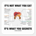 It's Not What You Eat It's What You Secrete Square Stickers