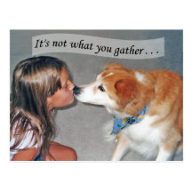 It's Not What You Gather But What You Scatter Post Card