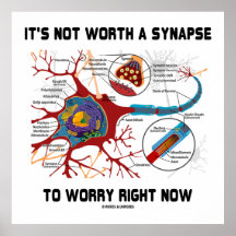 It's Not Worth A Synapse To Worry Right Now Neuron Print