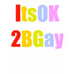 It's OK 2 B Gay TankTop t-shirts