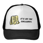 It's on the syllabus mesh hat