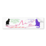 It's Raining Cats & Dogs bumper stickers