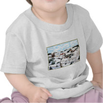 It's Snowing Shirt