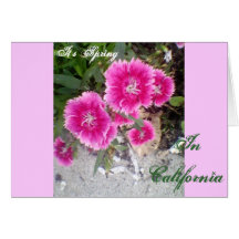 It's Spring Postage Stamp 2 Greeting Cards