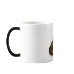It's the coffee mugs