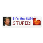 It's the SUN STUPID! Bumper Sticker bumper stickers