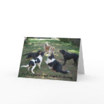 It's Time For Another Family Gathering cards