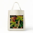 It's 'Twister Time' bags