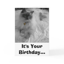 It's Your Birthday... Greeting Cards