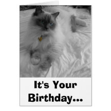 It's Your Birthday... Greeting Cards