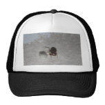 Itsy Bitsy Spider #2 Hat