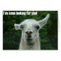 i've been looking for you cards