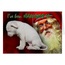 I've been Naughty ... Santa's Naughty & Nice List Greeting Card