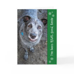 I've Been REAL Good Santa | Christmas Cards