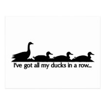 I've got all my ducks in a row... post card