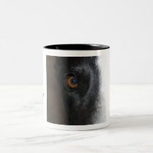 I've Got My Eye On You-Mug