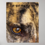 I've got my eye on you! posters