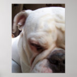 I've got my eye on you. poster