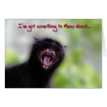 I've Got Something To Meow About