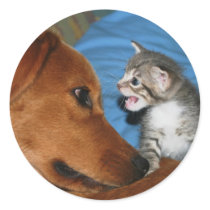 I've got to tell you...! stickers