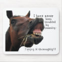 I've never been troubled by Insanity Horse mousepads